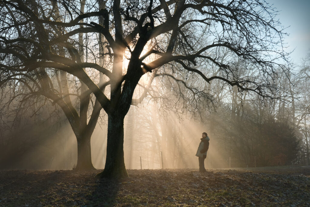 Innere Souveränität -stark wie ein Baum